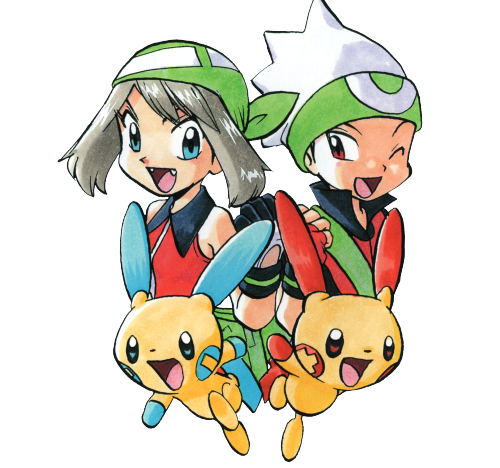 Pokemon y zurücksetzen