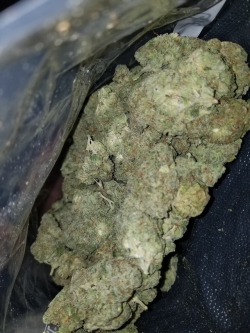 og kush pot marijuana cannabis 420 maryjane bud ganja dabs smoke weed weed fire skunk dank