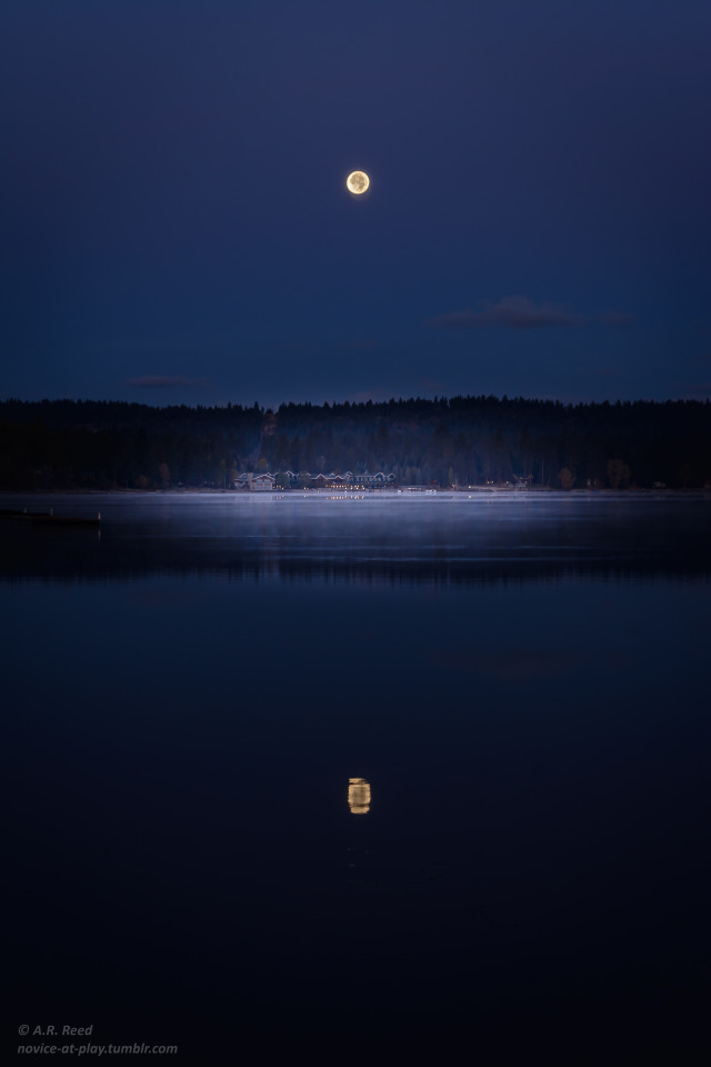 “The sky itself will carry me back to you The things I dream that I can do I'll open up the moon for you” ~Sara Bareilles - One...