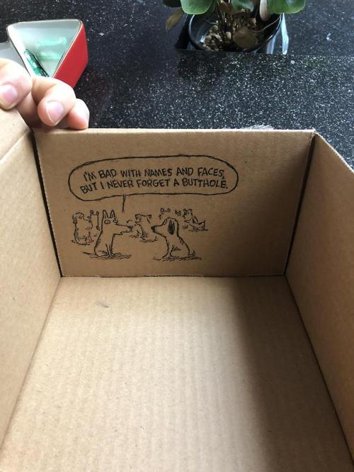 omg-images:Found this gem inside a bark box.