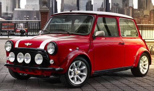 Mini Electric Tumblr
