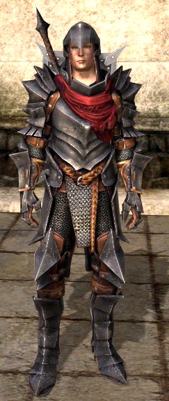 dragon age 2 champion armor