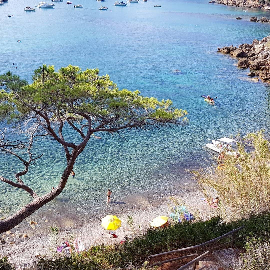 Isola Delba App Buongiorno Dalla Spiaggia Di Viticcio A