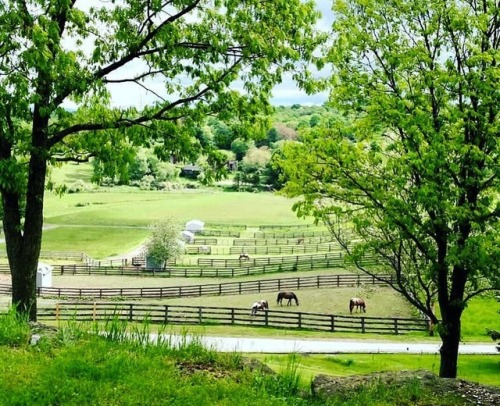 live-n-breathe-horse:Gorgeous farm 