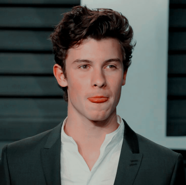 shawn mendes icons on Tumblr