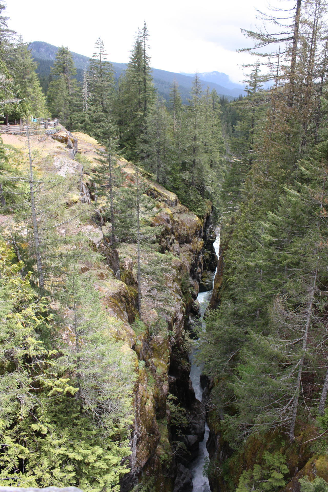 Mount Rainier National Park Box Canyon Such A Wonderful Place To   Tumblr Inline Pag3p6WtJd1v1dlf2 1280 