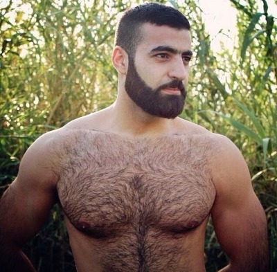 bearded muscle daddies with hairy chests.. too much!