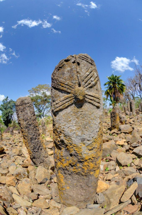 The stelae field at Tutu Fella, Ethiopia, is a 9th-14th century...