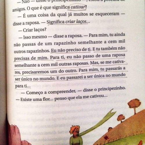pequenosescritores pequeno principe le petit prince the little prince books livros rosa cativar o pequeno príncipe antoine de saint-exupéry literary cancerianos intenso