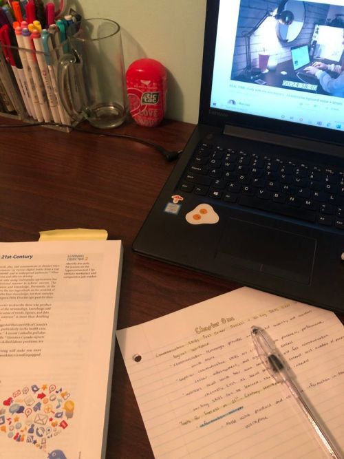maddiestudy1