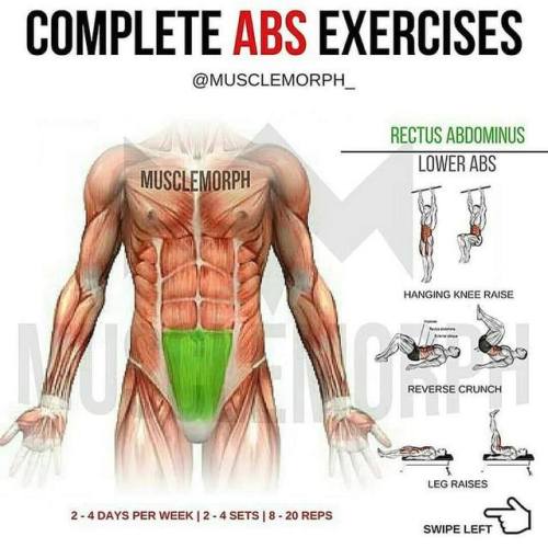 sashacoki:Complete ABS Exercises