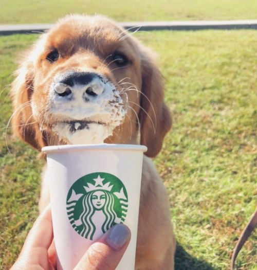 babydogdoo:Her favorite drink