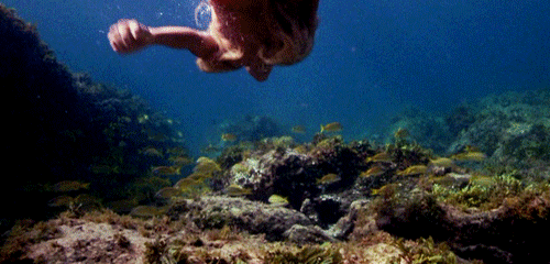 splash mermaid | Tumblr