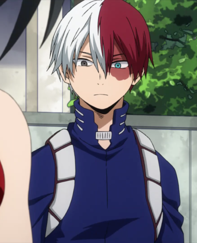 shoto todoroki age