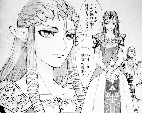 the legend of zelda twilight princess akira himekawa