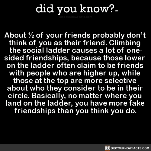 about-½-of-your-friends-probably-dont-think-of