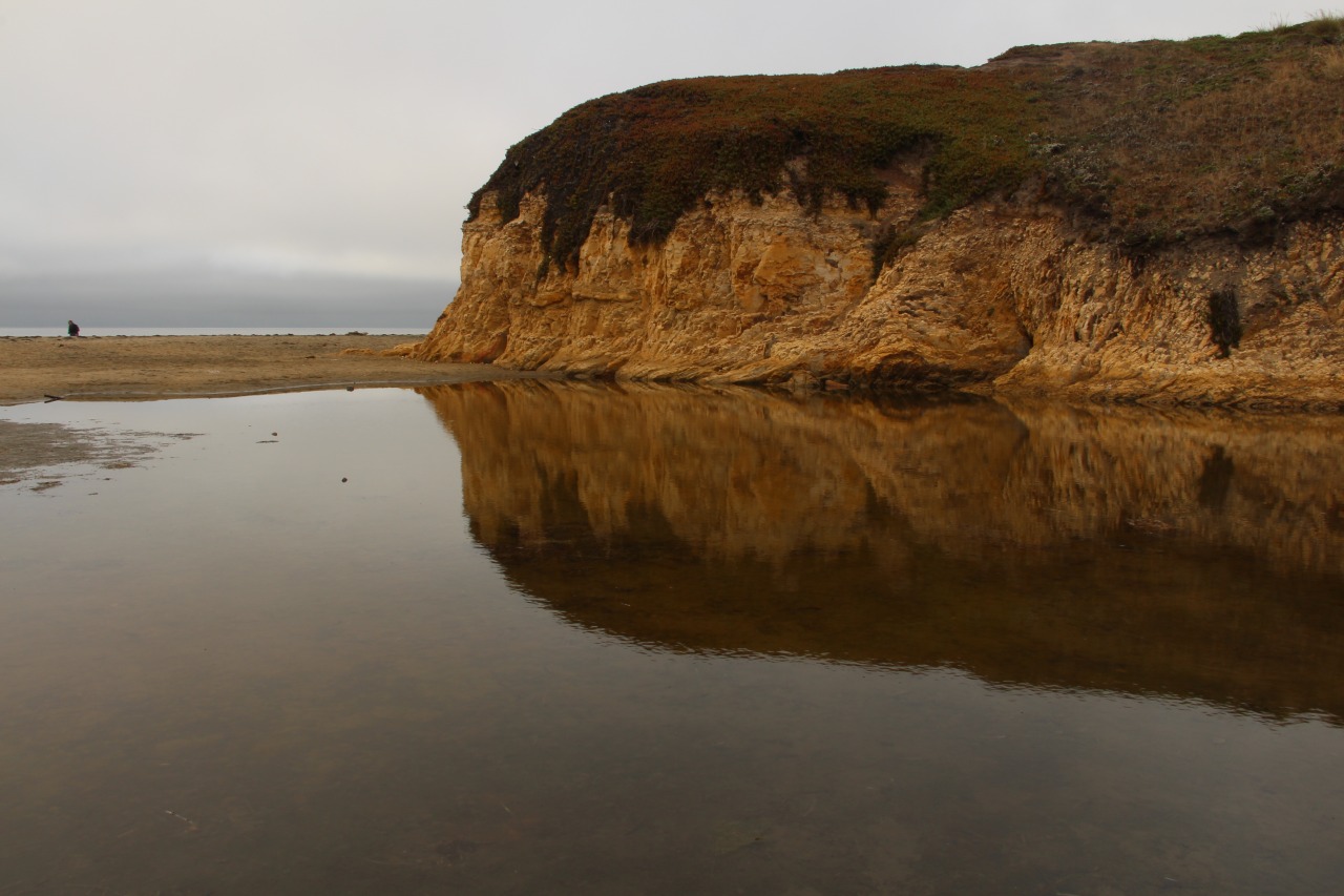 The Daily Gift Original Photography — Pictures taken at Pt. Reyes ...