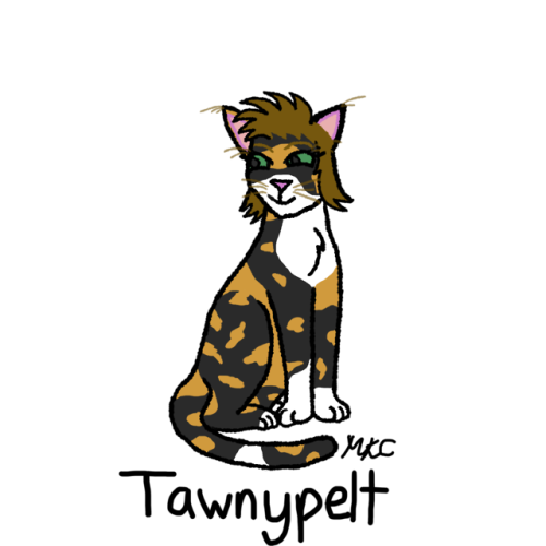 liepardstar