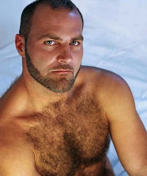 hairy chest - sexy muscle - mature men