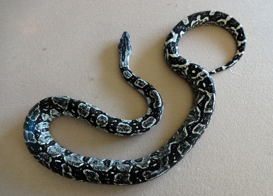 What is your absolute dream snake to own? : r/snakes