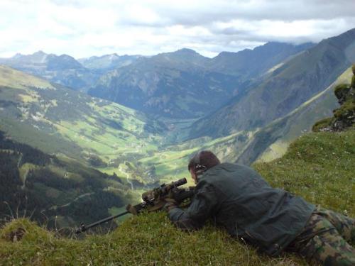 schweizerqualitaet:Swiss Army Sako TRG...