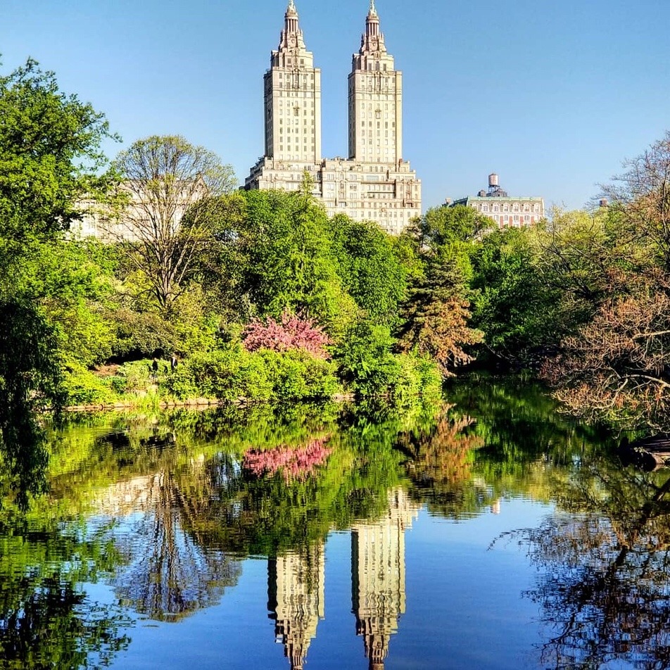 Central Park, NYC by @NeiasNMore