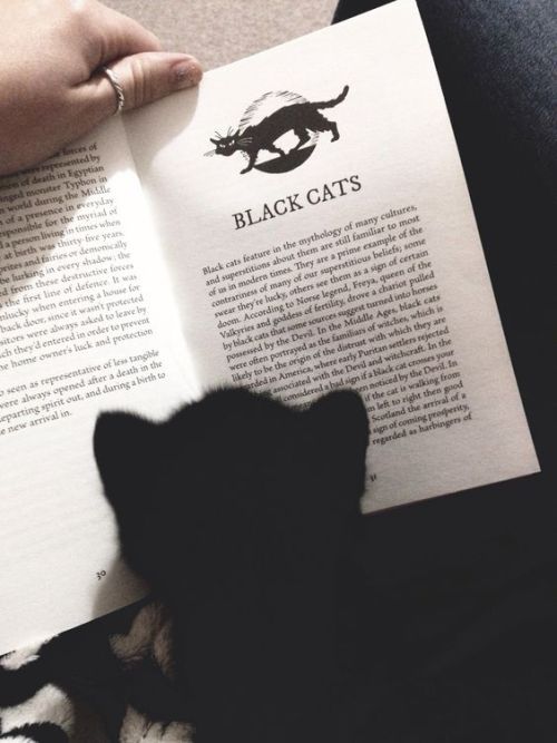 brookbooh:My favorite things in lifeCatsBooksCoffee