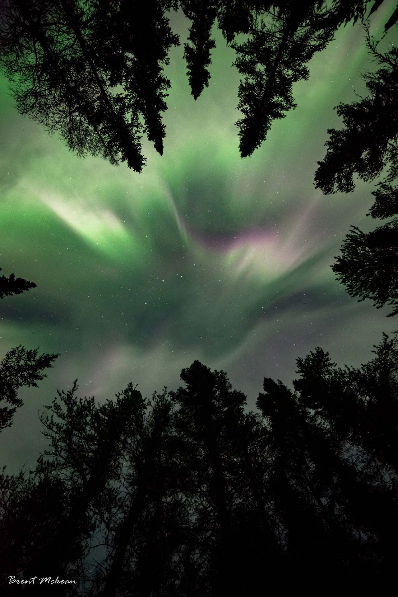 Photographer — Northern Lights over Manitoba, Canada