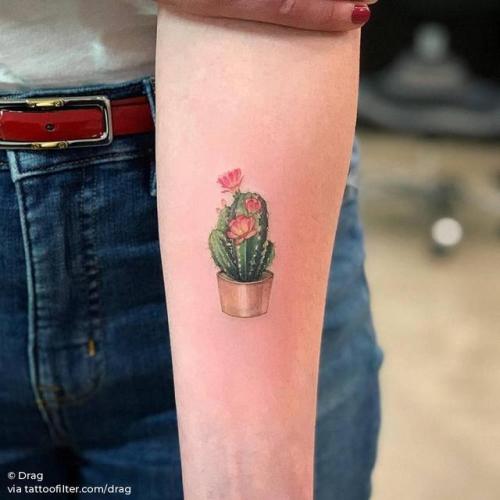 Cactus Temporary Tattoo  Set of 3  Tatteco
