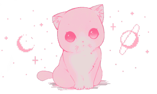 transparent kitten | Tumblr