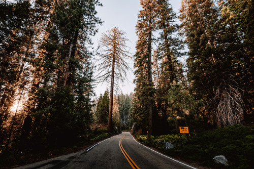 jasonincalifornia:Summer Road Trips through the...