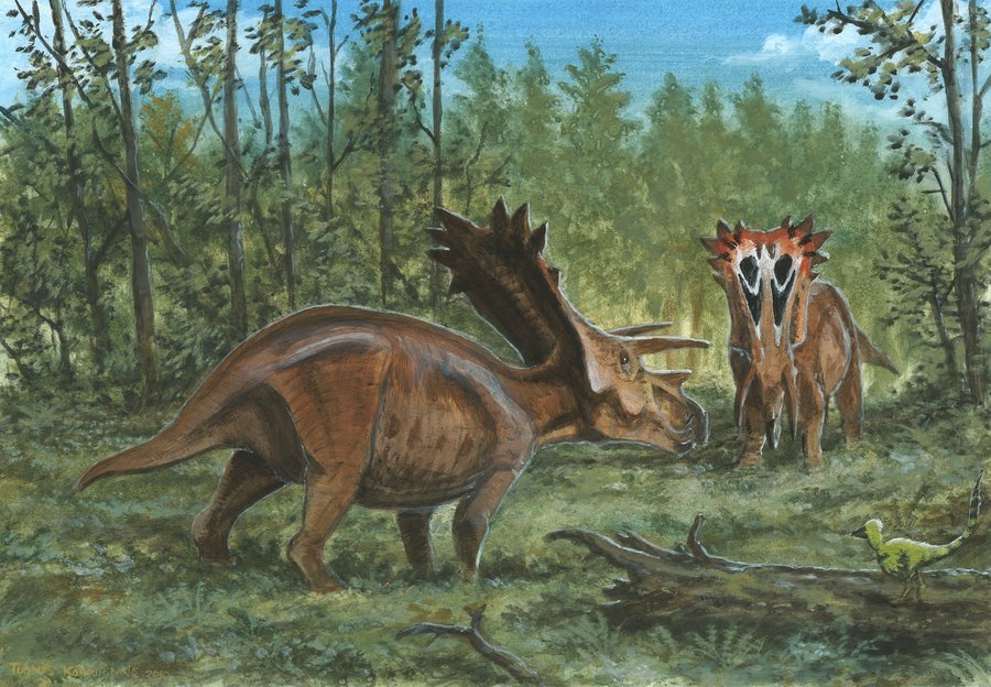 all ceratopsian dinosaurs