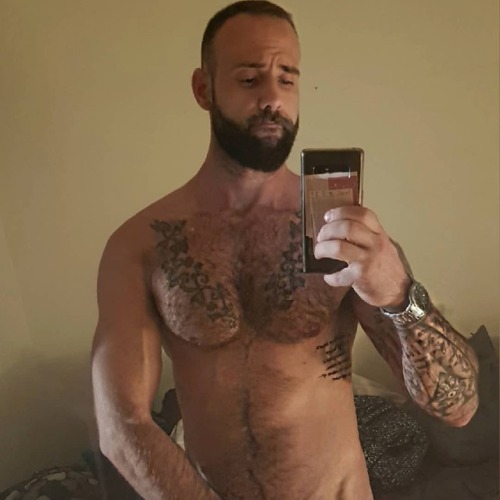 The Bear Underground - best in masculine hairy menWith over...