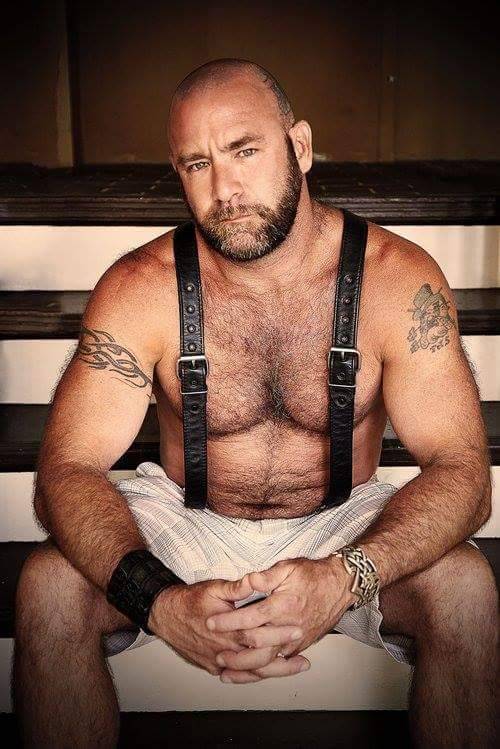 BACKFUR - Hairy/bear/horny/daddy