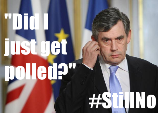 Gordon Brown, captioned 'Did I just get polled?' #StillNo