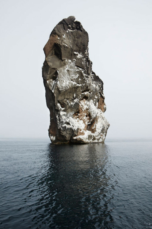 modernnorth