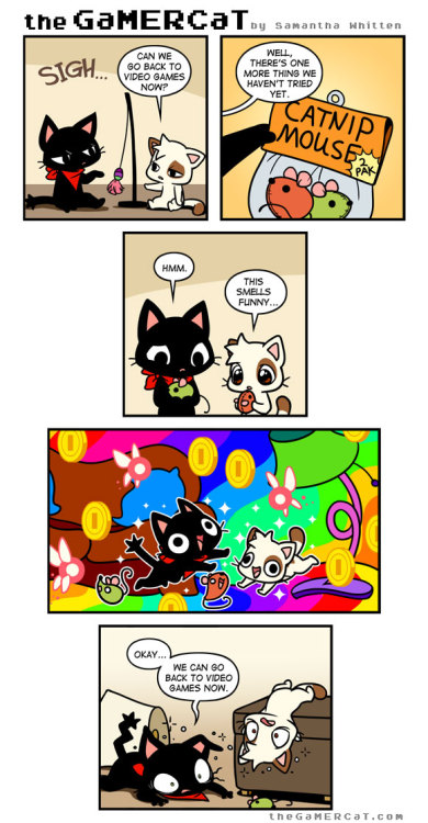 thegamercat:Read the next comic on Tapastic!