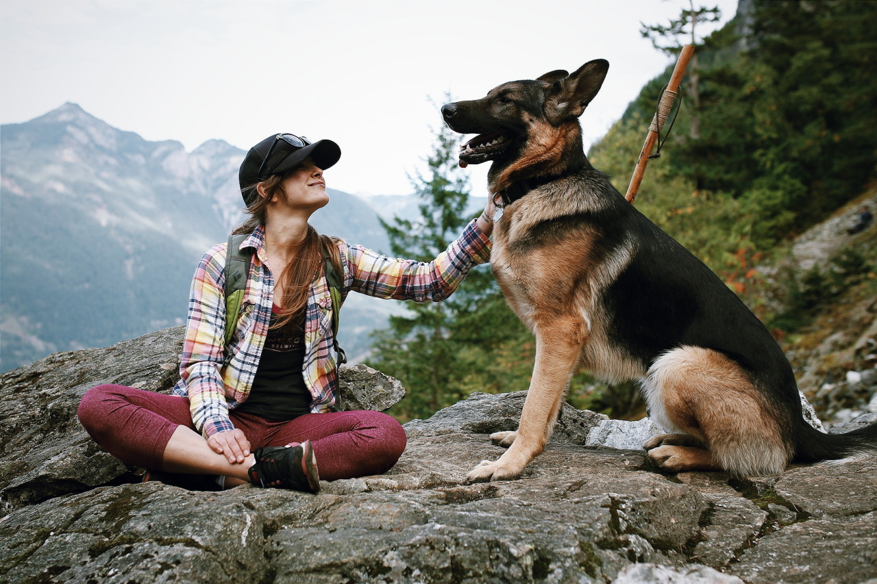 Hiking with Dogs is Balm for the Soul