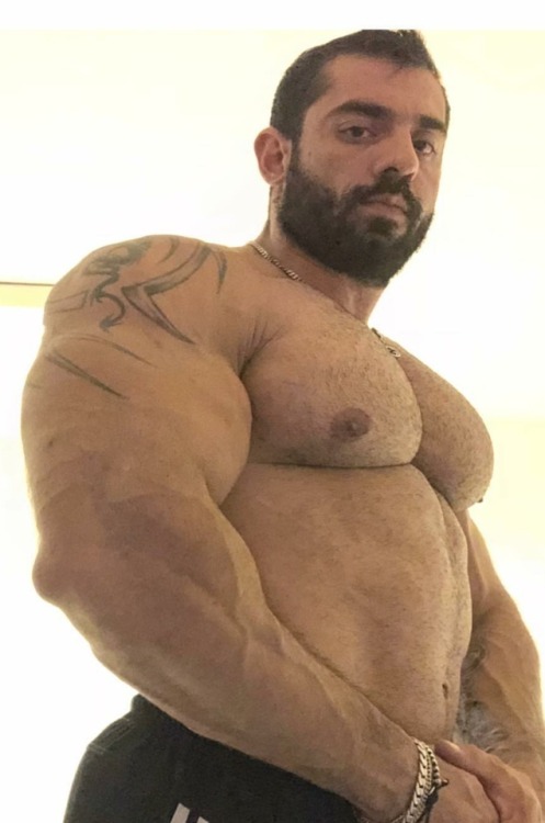 myfavoritemusclemen:Jorge Denzel