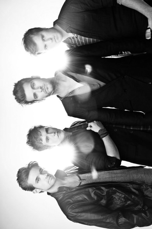 are themembers of anthem lights band gay