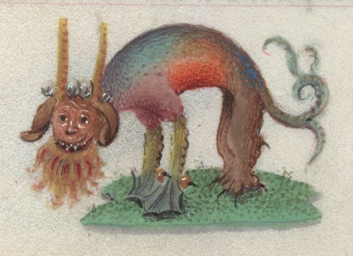 mediumaevum:Funky beasts from a Book of Hours attributed to an...