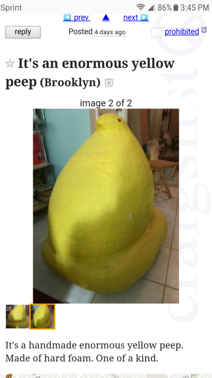 slimeweeb:shiftythrifting:The free section on Craigslist is...