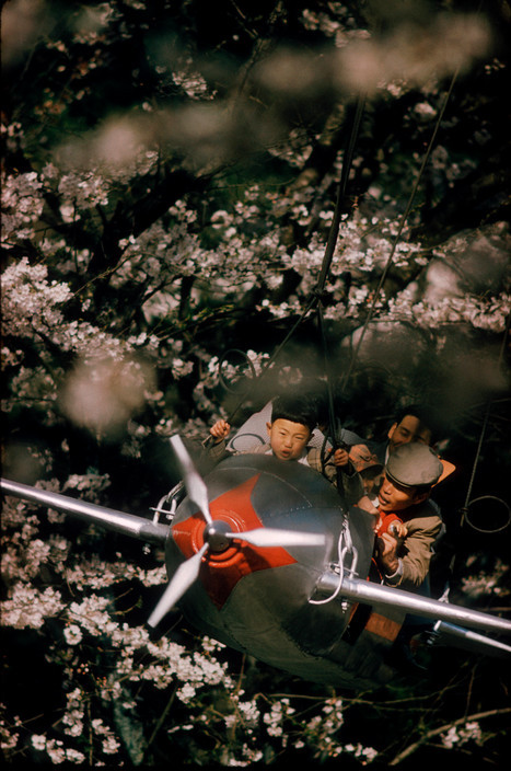 unrar:Japan 1961, middle of the blossom, Burt Glinn.