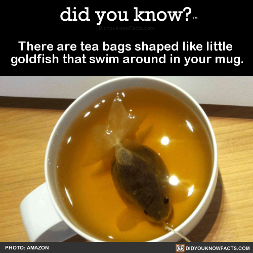 there-are-tea-bags-shaped-like-little-goldfish