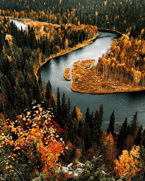 pumpkinwishbones:gildedautumnvelvet:Oulanka National Park by...