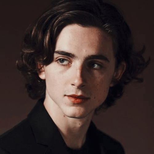 Timothée Chalamet Icons | Tumblr