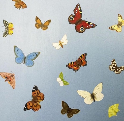 llovinghome:Painted Butterflies