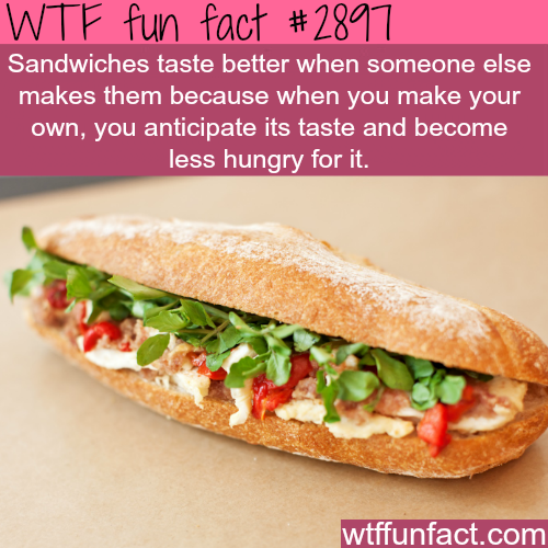 why-sandwiches-taste-bad-when-you-make-them-wtf