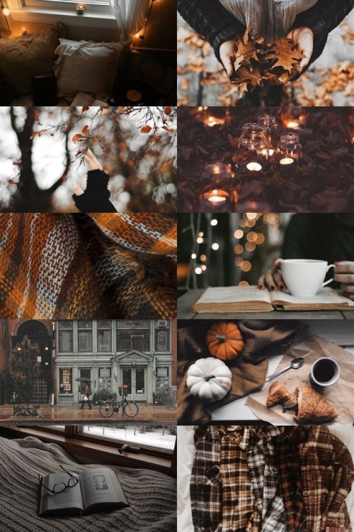 fall blog on Tumblr