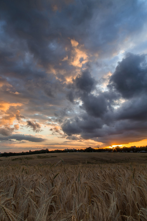 dennybitte:cloudy sunset in july 2014by Denny Bitte